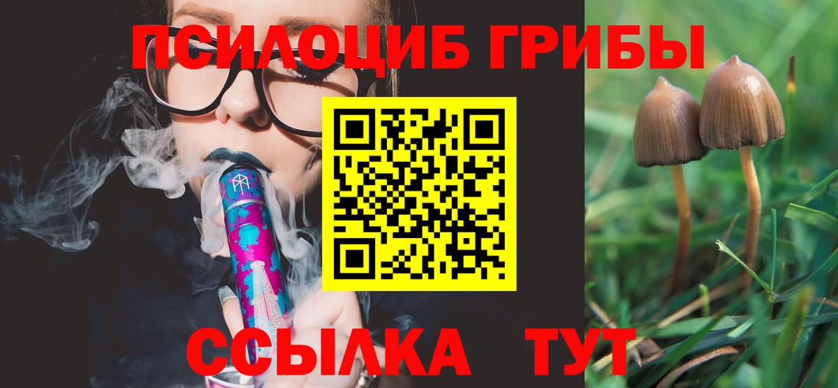 Псилоцибиновые грибы GOLDEN TEACHER Корсаков