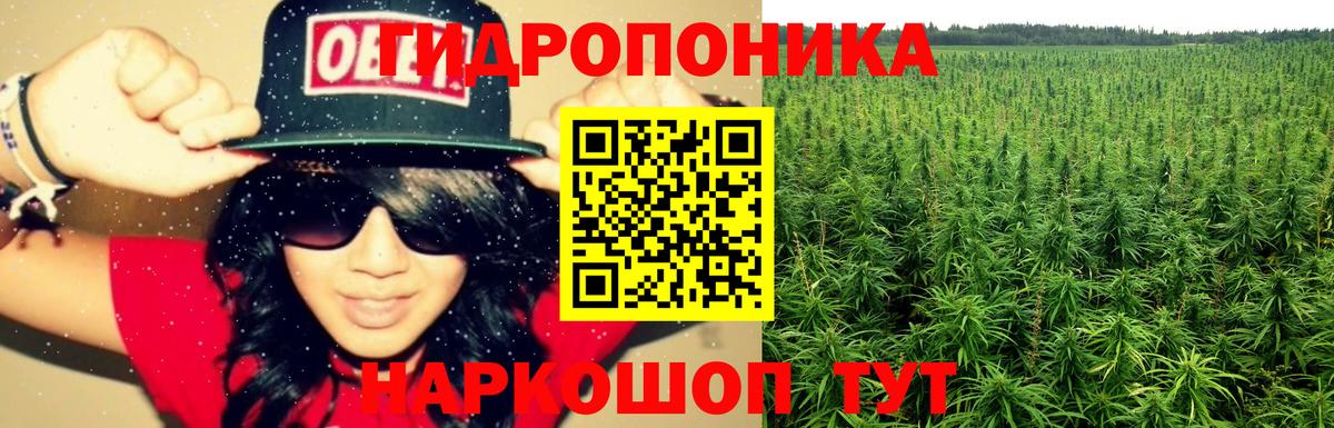 Марихуана OG Kush  Вход с VPN  Шишки марихуана Amnesia  Корсаков  Канабис AK-47 